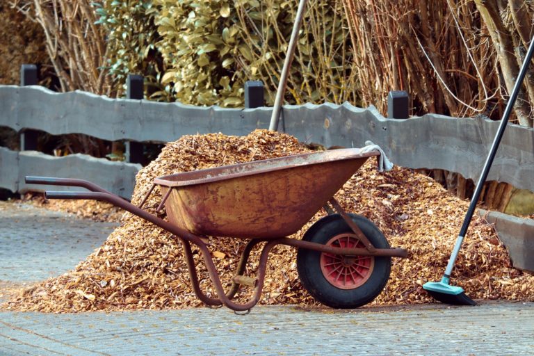 Die 5S Methode – Arbeitsumgebungen stetig verbessern